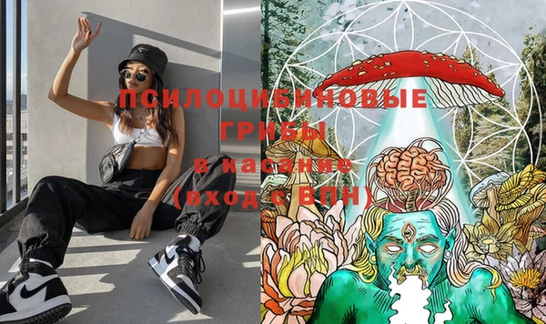 ГАЛЛЮЦИНОГЕННЫЕ ГРИБЫ Апатиты