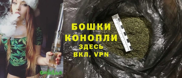 ГАЛЛЮЦИНОГЕННЫЕ ГРИБЫ Апатиты