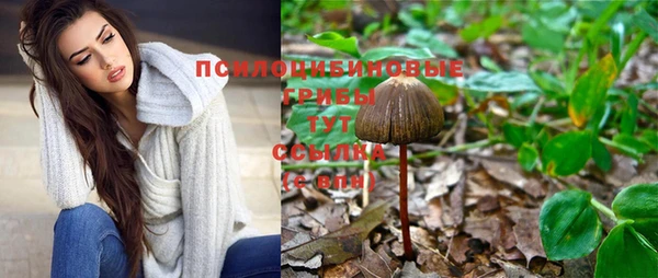 гидра Аксай