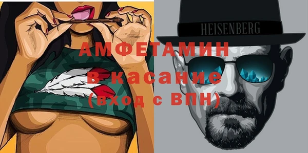 индика Вязники