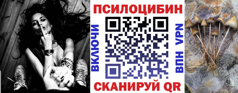 хочу наркоту  Дудинка  Галлюциногенные грибы мицелий 